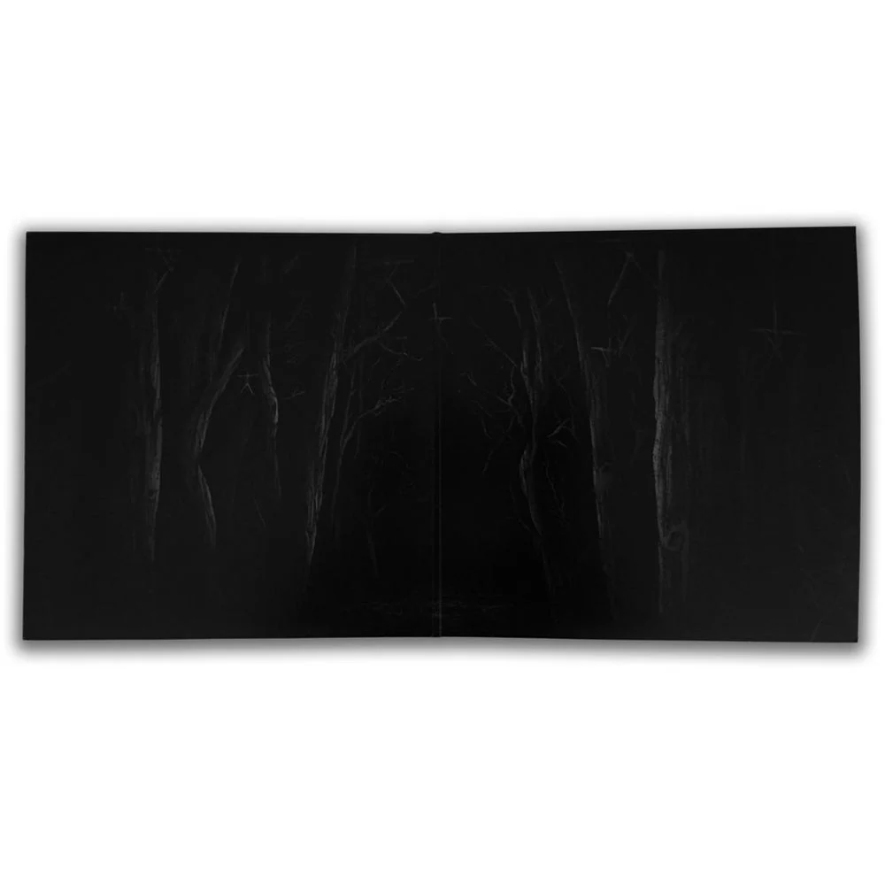 Blair Witch (Original Motion Picture Soundtrack) 'Black As Night Vinyl' - Adam Wingard - Image 3